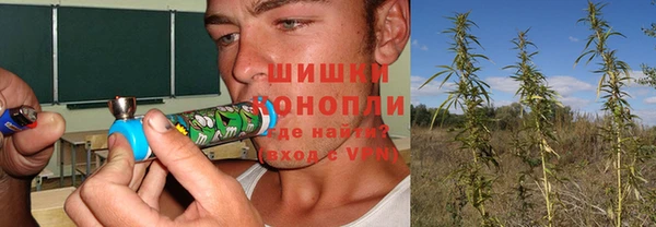 индика Алексеевка