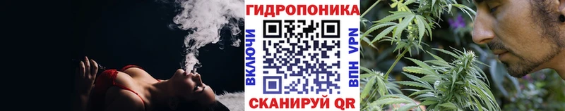 где найти наркотики  Богучар  Бошки марихуана сатива 